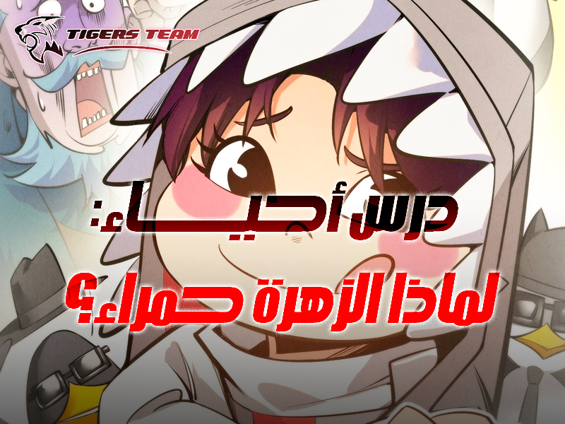 الفصل 493