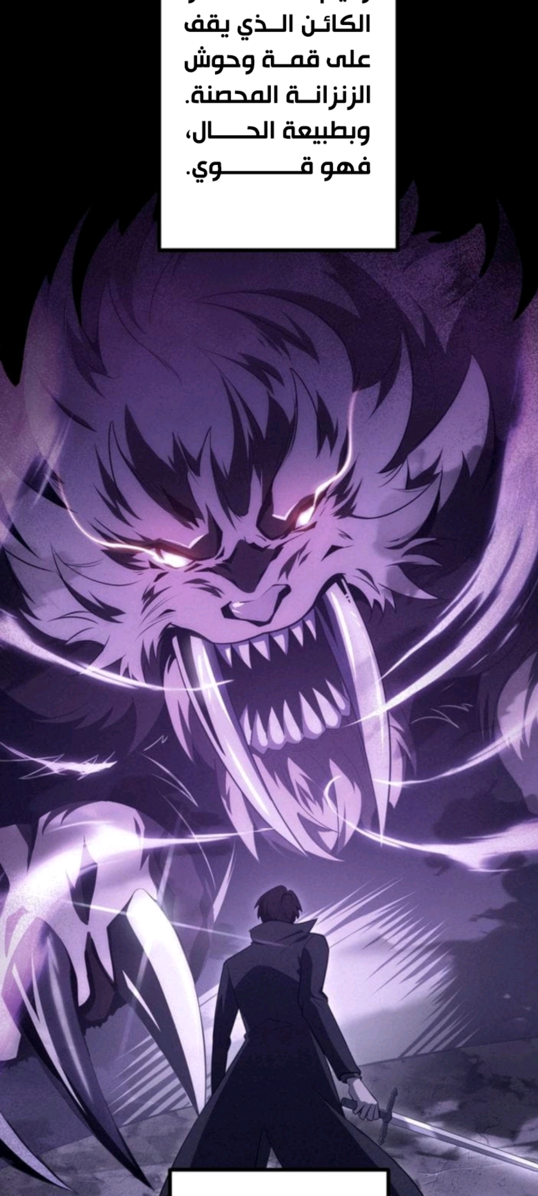 الفصل 5