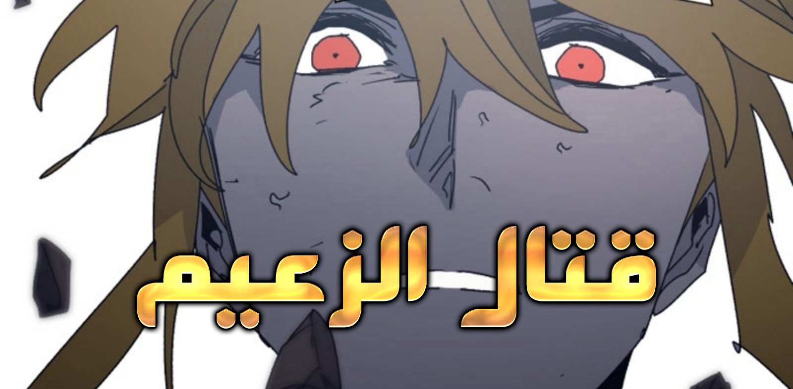 الفصل 209