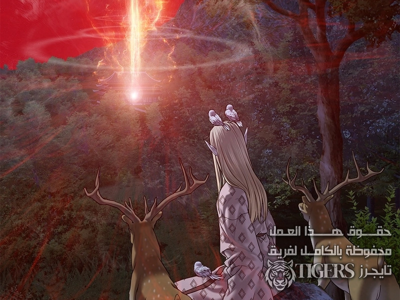 الفصل 29