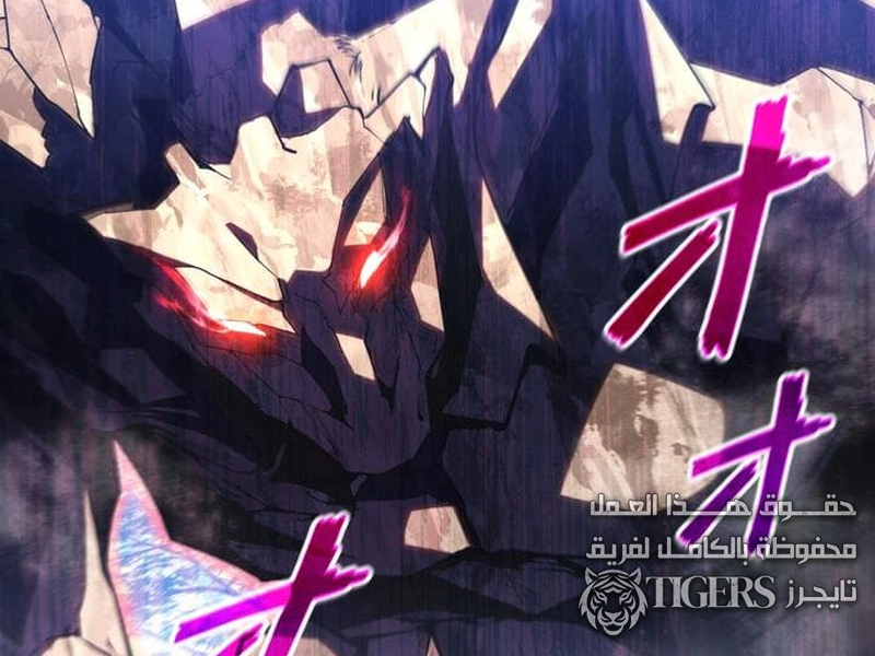 الفصل 19