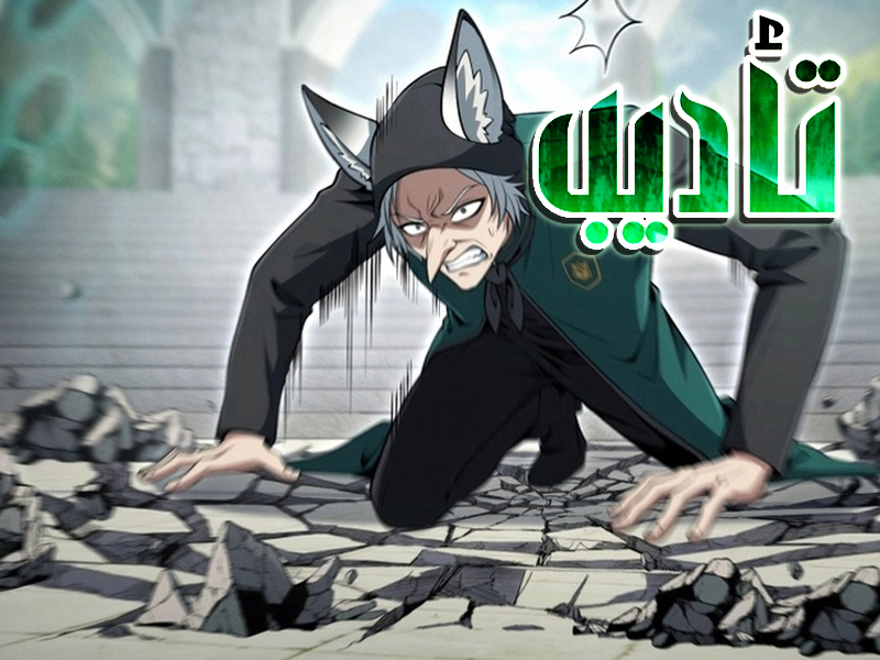 الفصل 13