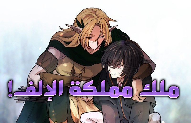 الفصل 14
