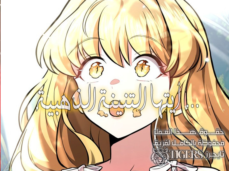 الفصل 4
