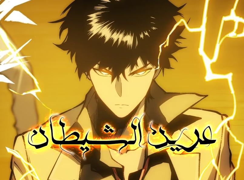 الفصل 13