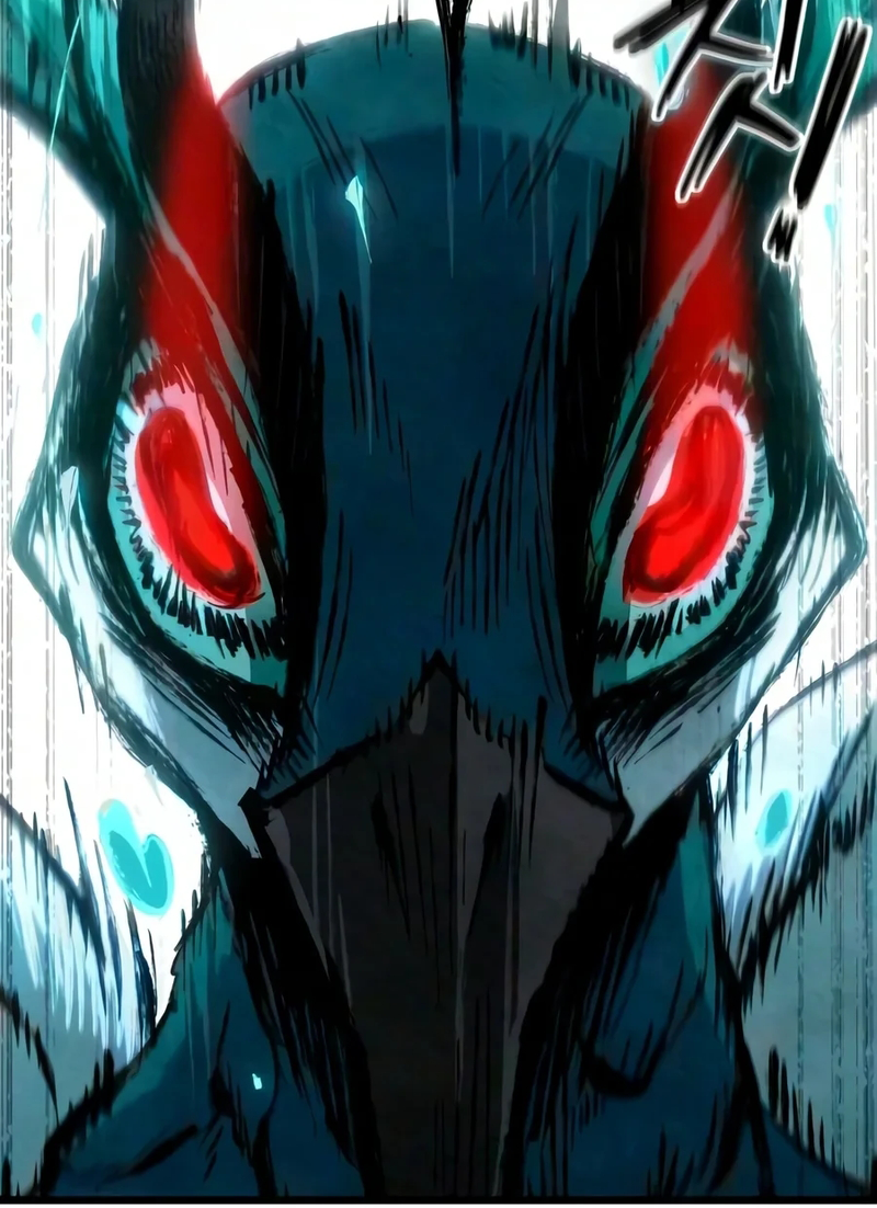 الفصل 13