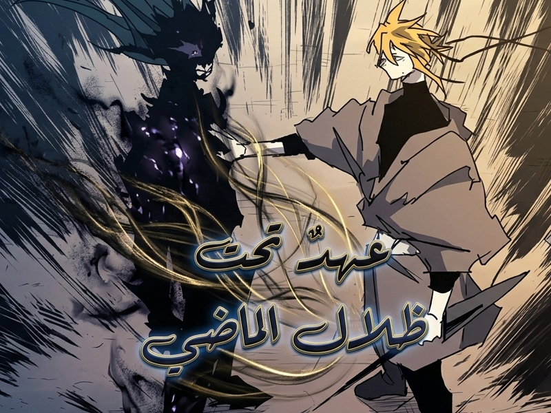 الفصل 243
