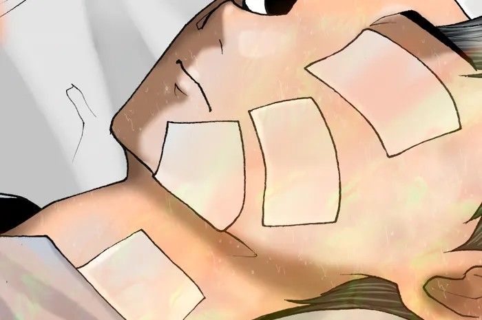 الفصل 12